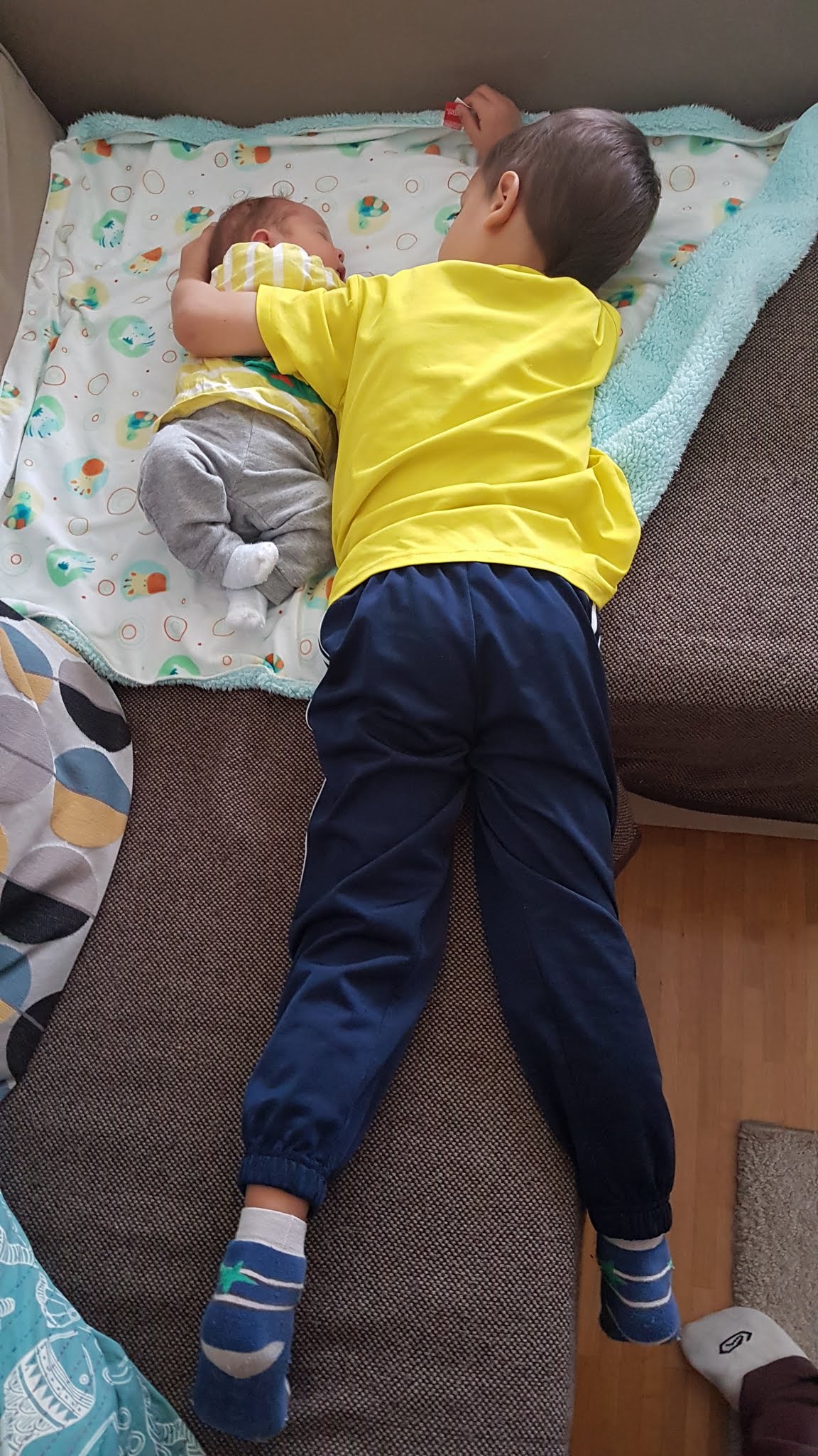 Prima zi acasă...